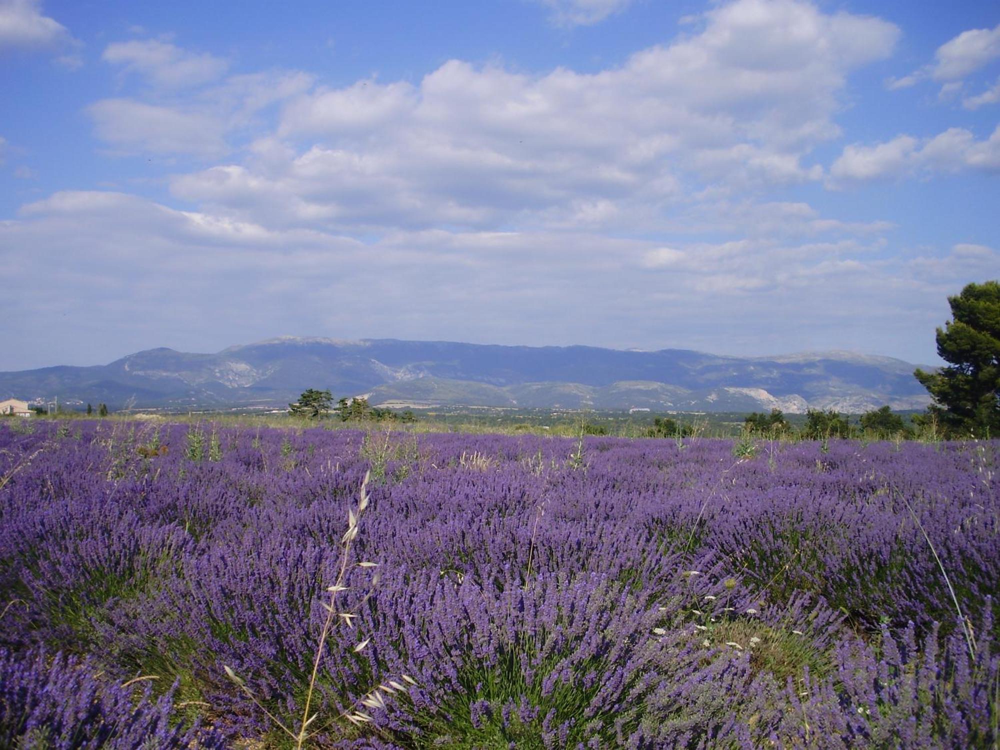 Hotel Du Moulin Allemagne-en-Provence Exteriér fotografie
